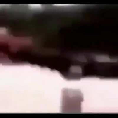 blz