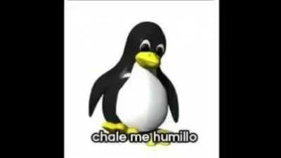 Chale me humillo