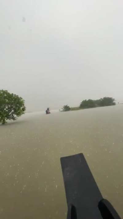 How it feels like in the middle of swamp forest while raining.