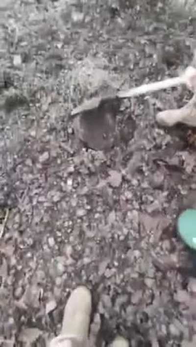 Searching for gold: Ukraine edition