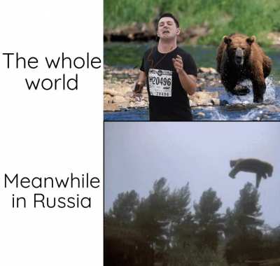 Yeet the bear