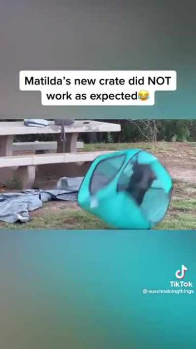 Your puny crates can&rsquo;t contain me!