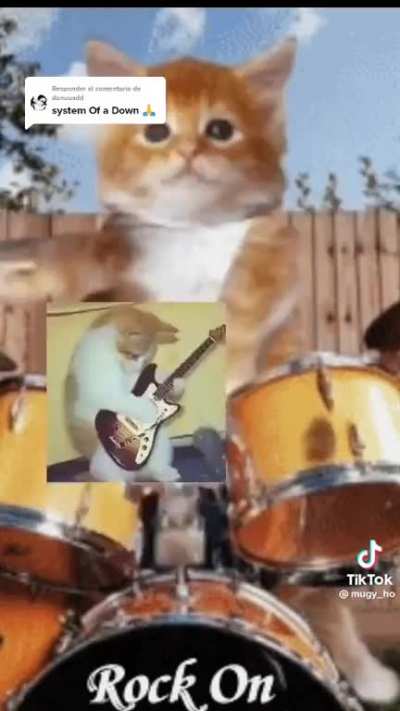 HE IS JAMMING