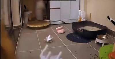Catocalypse