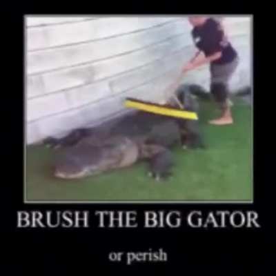 Or perish