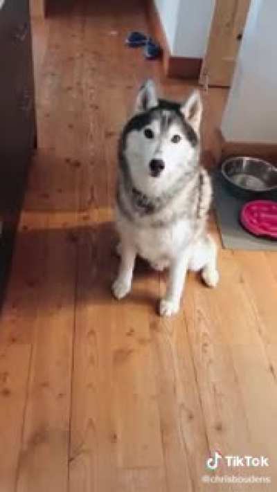 The Golden&rsquo;s the sober friend