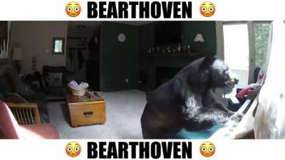 😳 BEARTHOVEN 😳