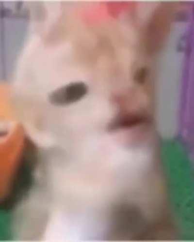 &Eacute;pico