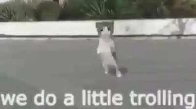 rule