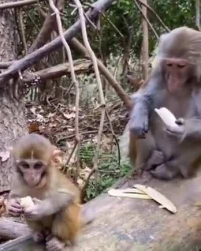 What a lovely mother and child moment