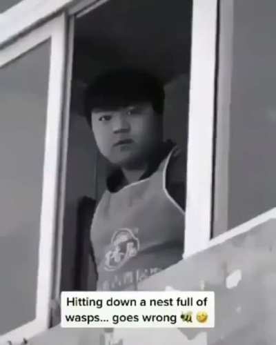 To knock down a wasp nest