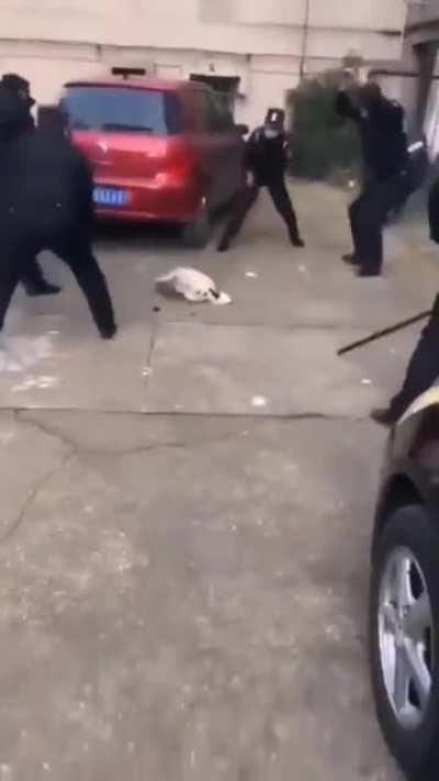 几个中国警察用棍打死狗