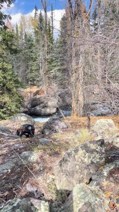 Bronco and nature