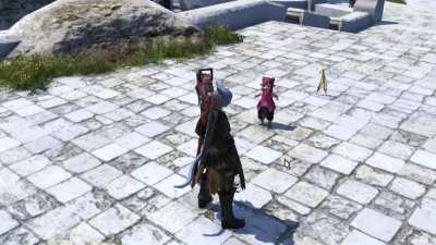 New anti harassment feature (leak)