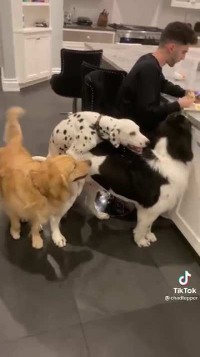 A new challenger!