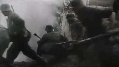 MAAU - Video #1198