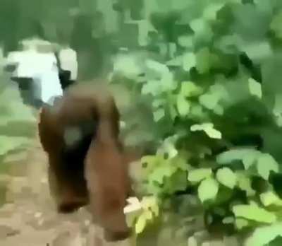 Monke