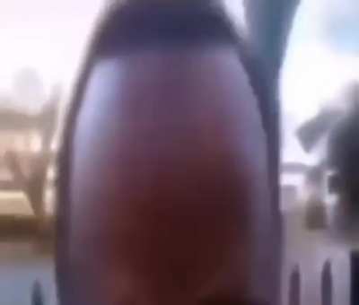moldy forehead