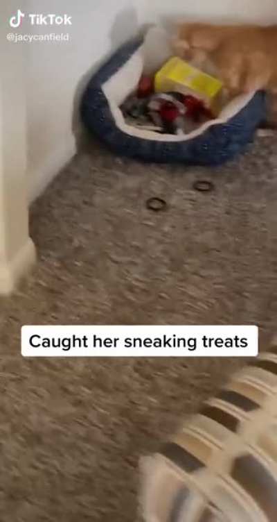 Mission failed