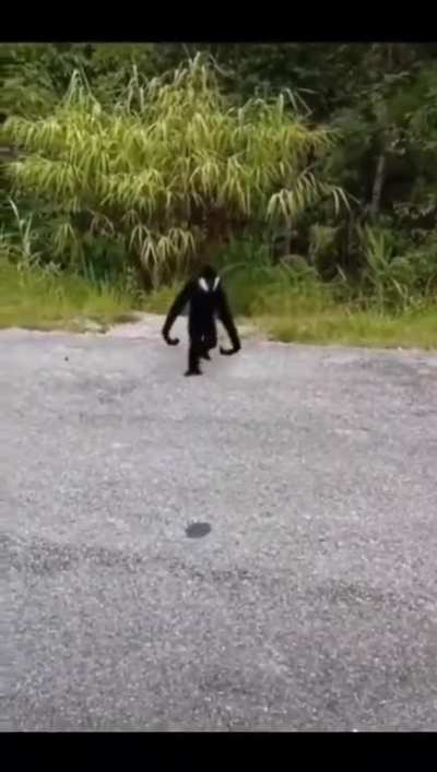 To casually film from a distance