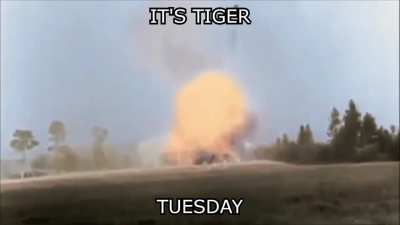 It's Tuesday Guys!