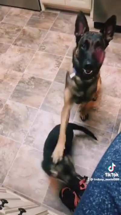 Behave