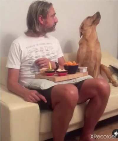 when you regret saying you're not hungry