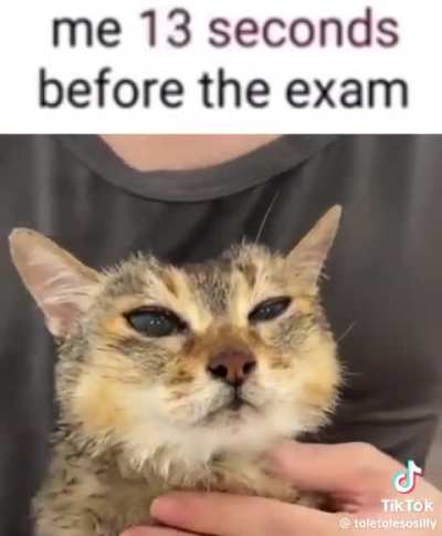 Its ToleTole hours