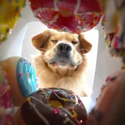 MRW I'm on day 2 of a diet and someone brings in a box of donuts