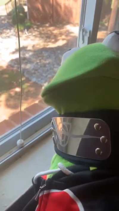 Same Kermit same