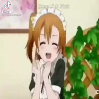 XD