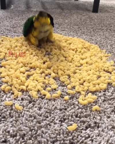 noodles