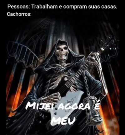 Os Dogs s&atilde;o do rock