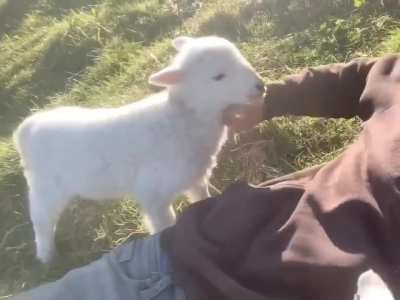 "I didn't give you permission to stop!"