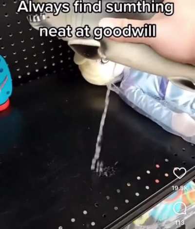 shark at goodwill