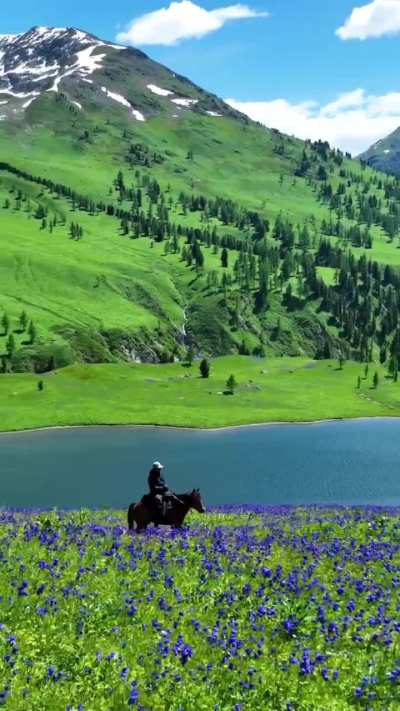 Altai- east Kazakhstan