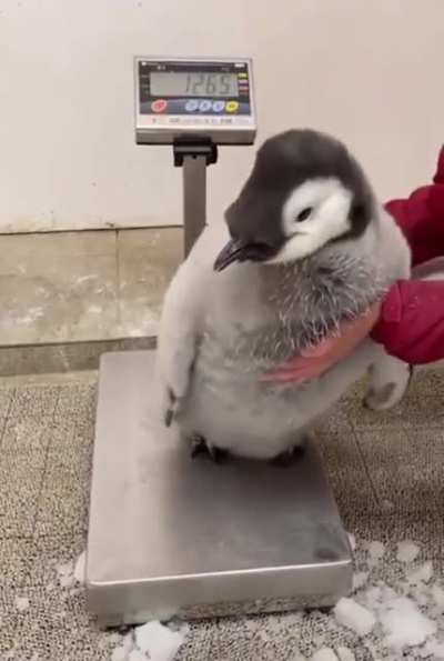 Didn&rsquo;t know they were this big