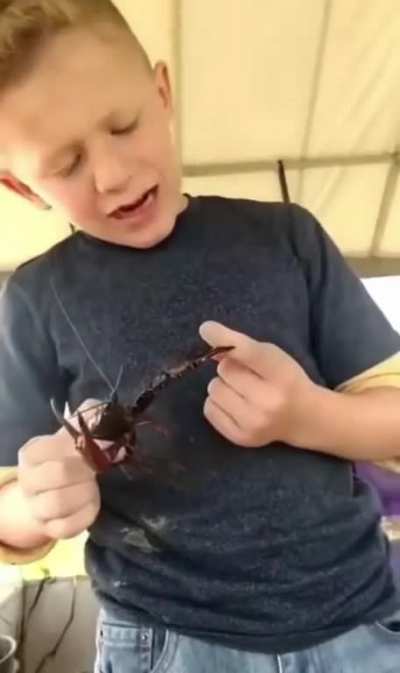 Fun fact: Crawfish can exert up to 100lbs of force per square inch.