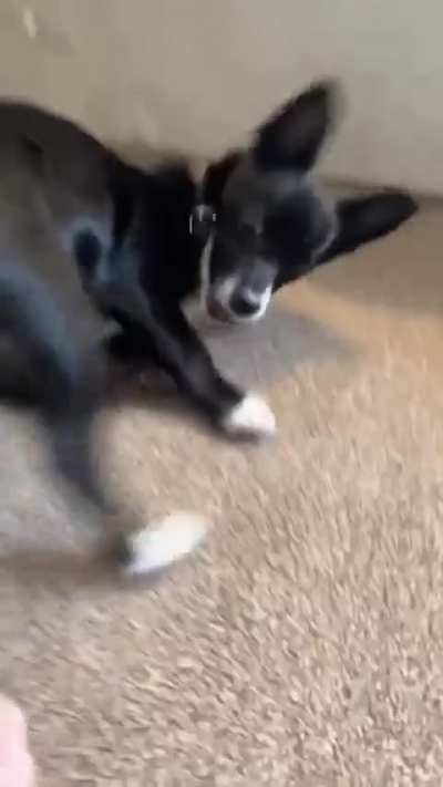 Maybe maybe maybe