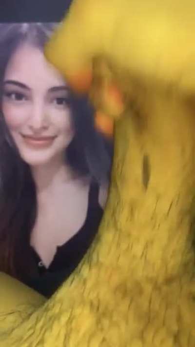 Jerk trib for a Reddit cuck that wants the attractive women he knows to get cocked