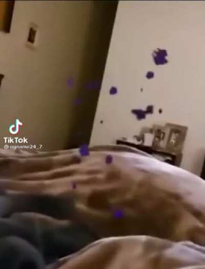 Otro video de mi galer&iacute;a