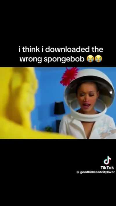 spongenob no