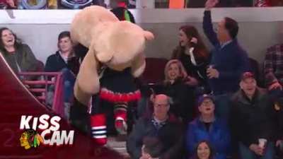 Mascot giving big teddy bear to girl in front of everybody at the game