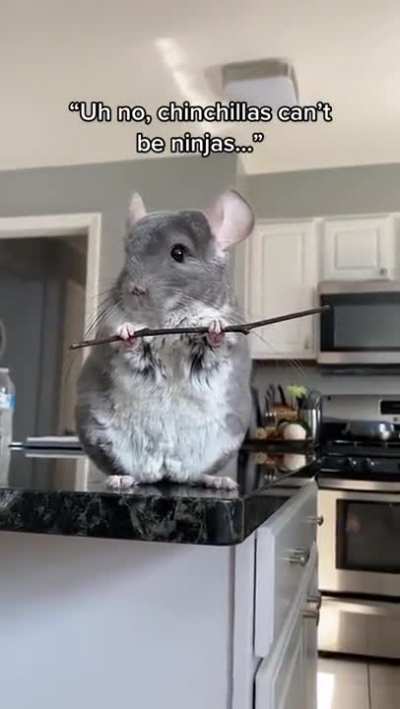 Ninchilla. The rodent warrior.