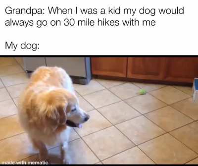 He&rsquo;s a good boi