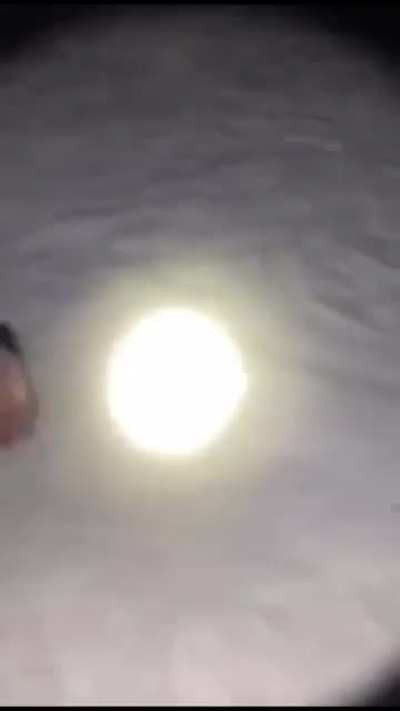 blursed_snow