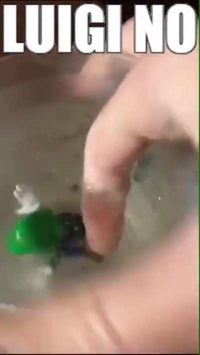 rıp luigi