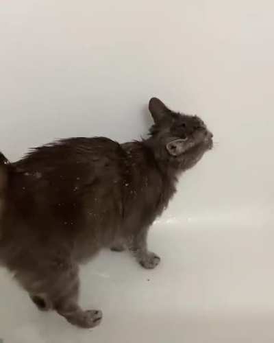Shower time