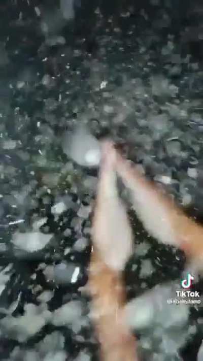 Let the calm snow droplets ease your mind
