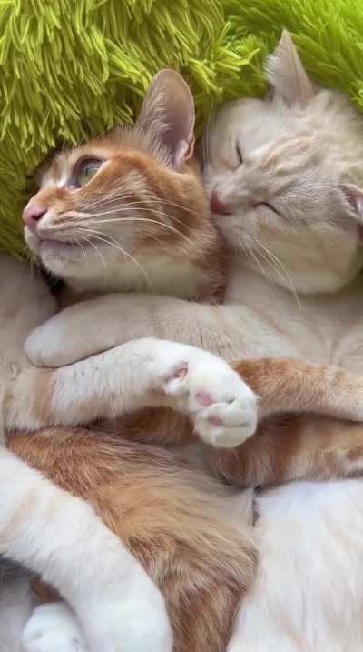 Love couple
